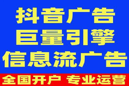 SEO百度推广策略：成功案例解析
